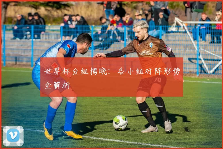 世界杯分组揭晓：各小组对阵形势全解析