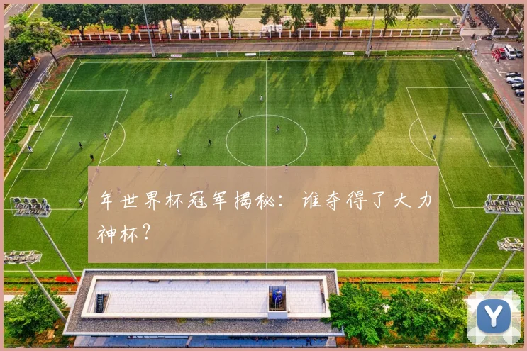 年世界杯冠军揭秘:谁夺得了大力神杯?