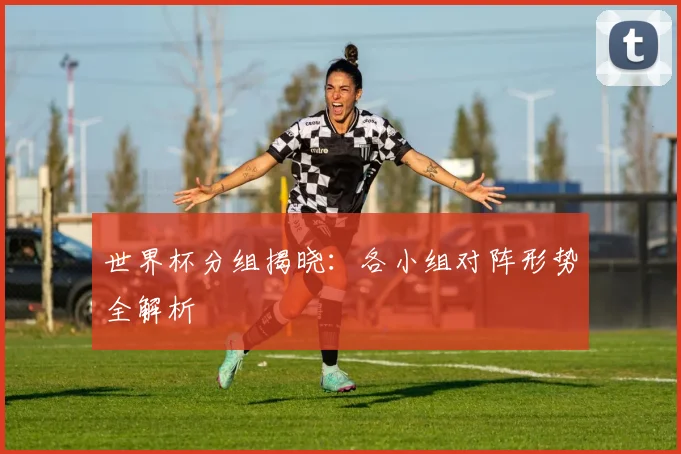 世界杯分组揭晓:各小组对阵形势全解析